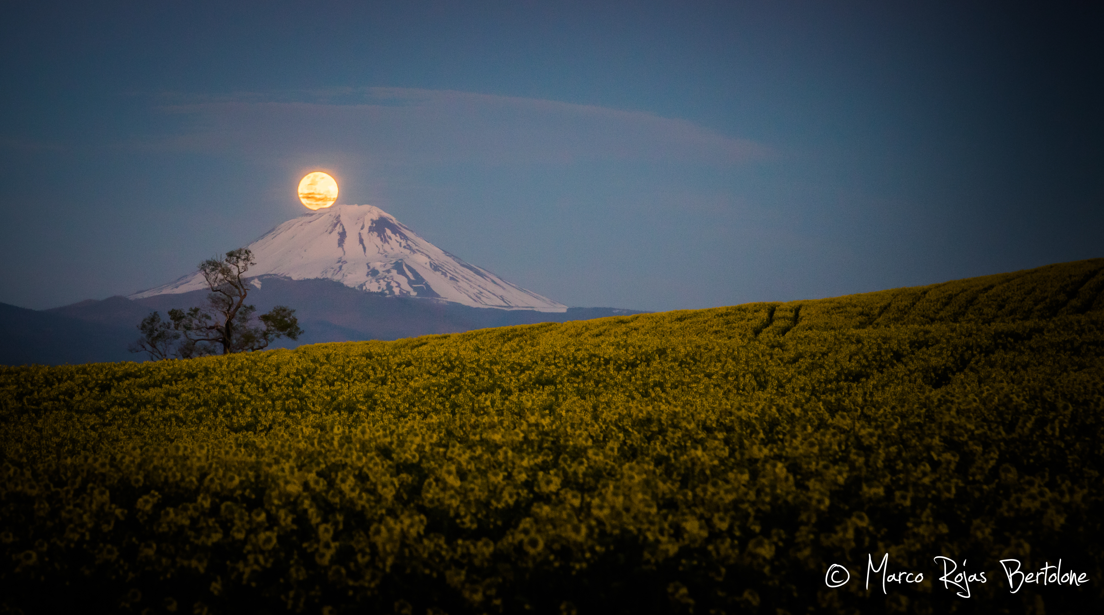 Erupción Volcánica Lunar